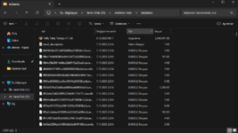 Ekran görüntüsü 2025-11-07 235644.png