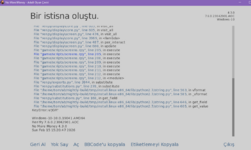Ekran Alıntısı2.PNG